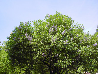 Similar image 22380656