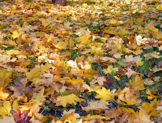 Similar image 22380761