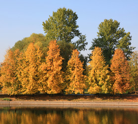 Similar image 22380776