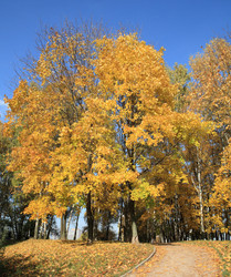 Similar image 22380788