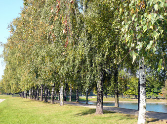 Similar image 22380835