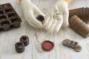 Similar image 22354499