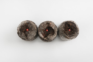 Similar image 22354503