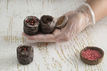 Similar image 22354505