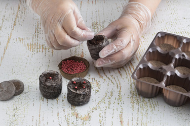 Similar image 22354506