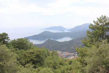 Similar image 22357067