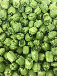 Similar image 22355245