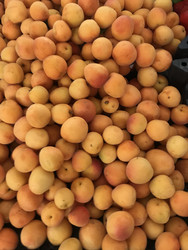 Similar image 22355247