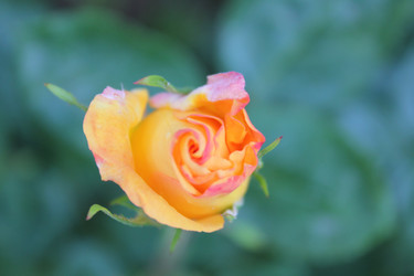 Similar image 22354704