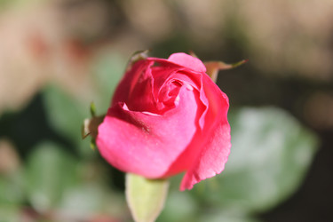 Similar image 22354705