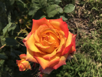 Similar image 22354695