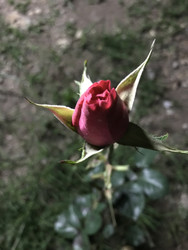 Similar image 22354697