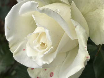 Similar image 22354699