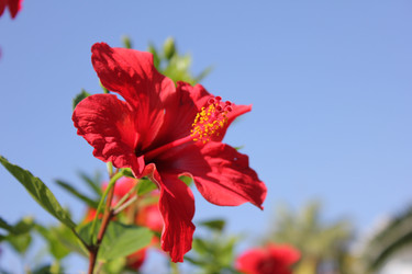 Similar image 22354700