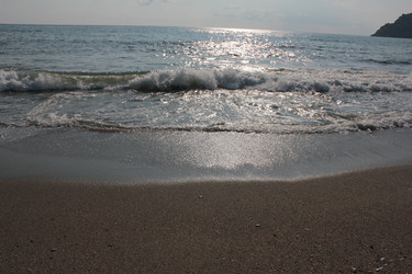 Similar image 22354702