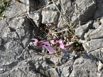 Similar image 22354703