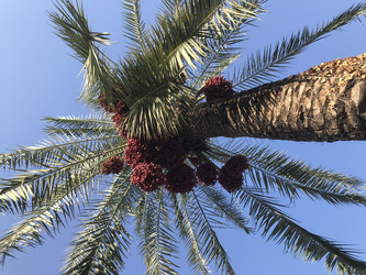 Similar image 22354454