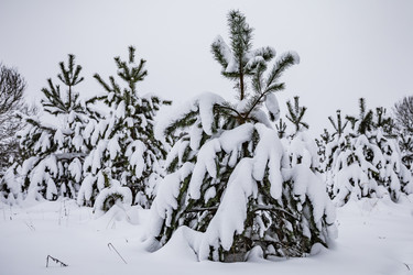 Similar image 22360589