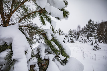 Similar image 22360590