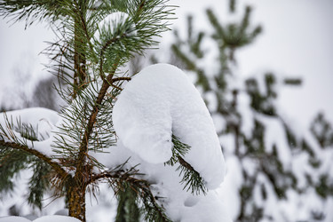 Similar image 22360591