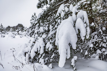 Similar image 22360593