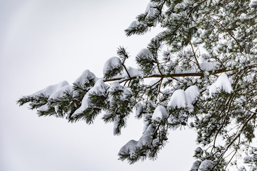 Similar image 22360594