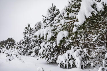 Similar image 22360600