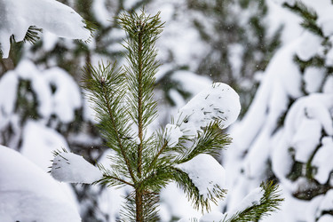 Similar image 22360604