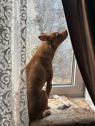 Similar image 22356984