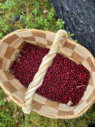 Similar image 22356986