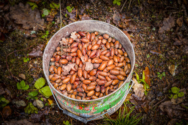 Similar image 22360000