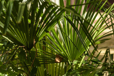 Similar image 22360001