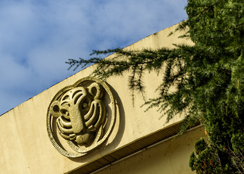 Similar image 22360002