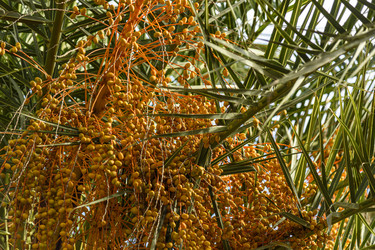 Similar image 22354775