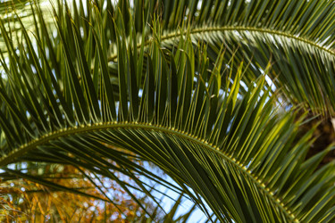 Similar image 22360012