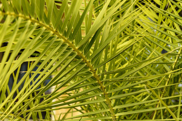 Similar image 22360013