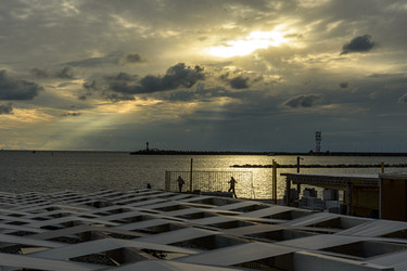 Similar image 22354790