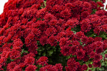 Similar image 22360042