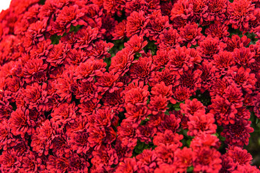 Similar image 22360043