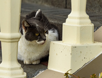 Similar image 22360044