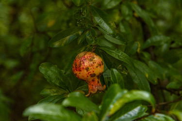 Similar image 22358735