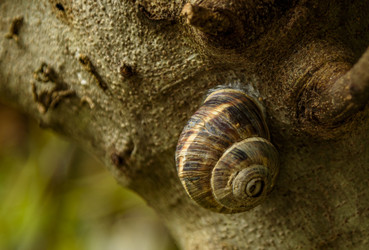 Similar image 22354792