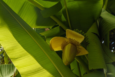 Similar image 22354794