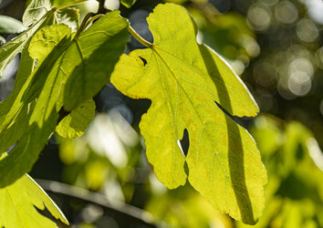 Similar image 22354795