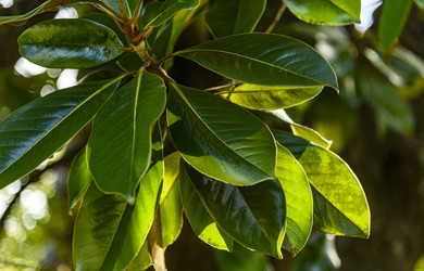 Similar image 22354796