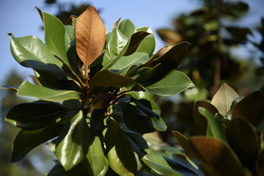 Similar image 22354797