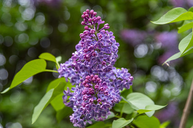 Similar image 22354760