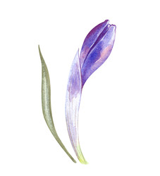 Similar image 22374144