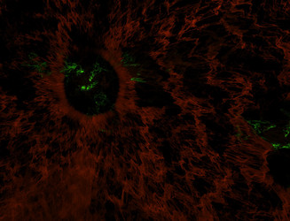 Similar image 22387624