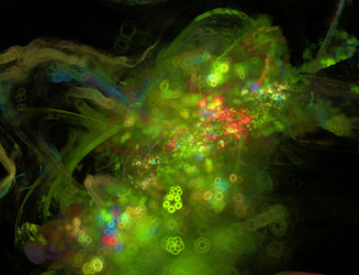 Similar image 22387490